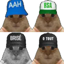 :famille-chats-0tout: