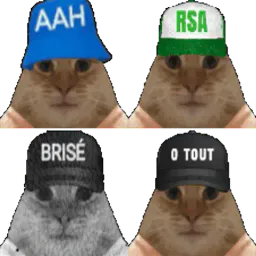 :famille-chats-0tout: