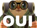 :chatrandonnee_oui: