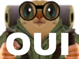 :chatrandonnee_oui: