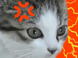 :chaton_choc: