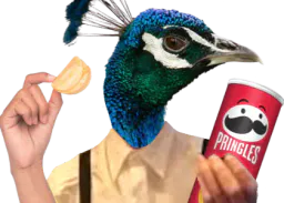 :Paon_Pringles: