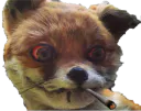 :renard_defonce: