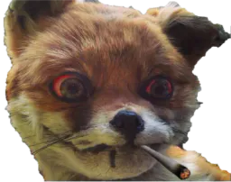 :renard_defonce: