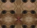 :chatmosaique: