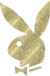 :playboy:
