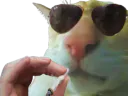 :ChatFumeur: