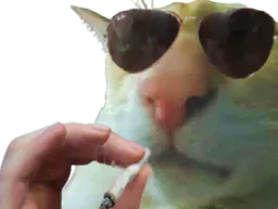 :ChatFumeur: