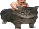 :Monture: