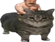 :Monture:
