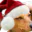 Photo de profil de JVCucks