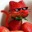 :CatoFraiz: