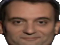 :philippot_zoom: