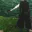Photo de profil de Maxwell007