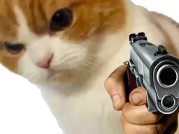:chatg: