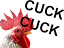 :normantetedecon: