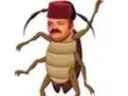 :cafard_turc: