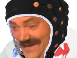 :rugbyahi: