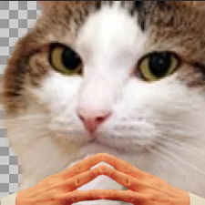 :Chat_main_jointes: