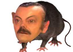 :Risi_rat: