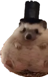 :Herisson_chapeau: