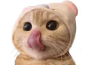 :chatt: