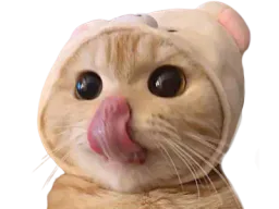 :chatt: