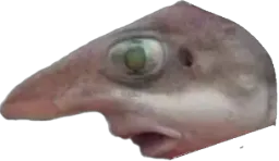 :poissonnez: