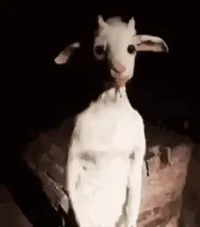 :tkt_tkt: