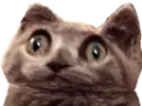 :limbo_wtf: