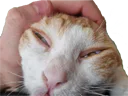:cha_ET: