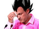 :valls_vegeta: