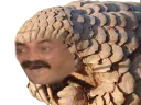 :Pangolin: