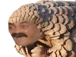 :Pangolin: