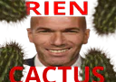 :rien_cactus: