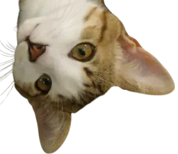 :Tim: