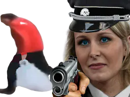 :reimmigrazion: