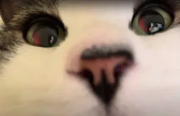 :ZOOOOOOM: