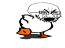 :canardsoja: