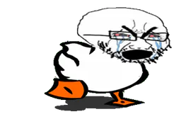 :canardsoja: