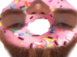 :DONUT: