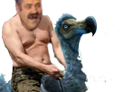 :risitas_dodo: