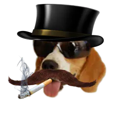 :Chien_capitaliste: