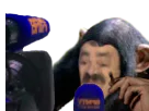 :singecamera: