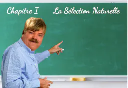 :selection_tableau: