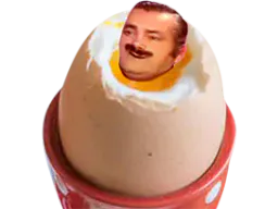 :risioeuf: