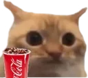 :chat_limite_coca:
