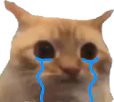 :chatlimitepleure: