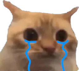 :chatlimitepleure: