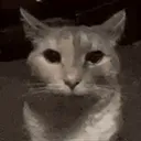 :chat-regard-insistant: